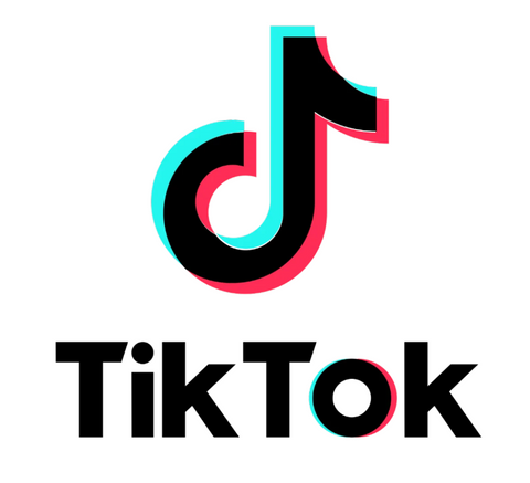 TikTok, a previous live embroidery collaboration with amR